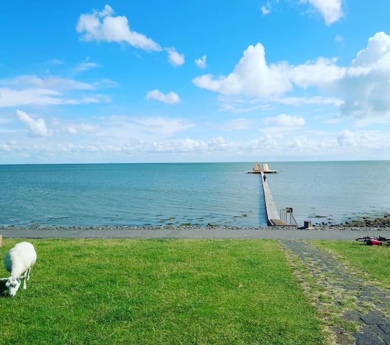 De Oostkamer; Eiland Appartement Naast Natuurgebied Boschplaat Oosterend  Eksteriør bilde